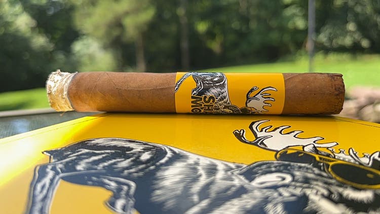 cigar advisor nowsmoking 9-5-23 cigar review shady moose 1st