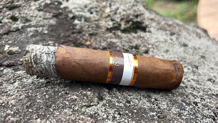 cigar advisor #nowsmoking cigar review nestor miranda special selection rosado - by gary korb
