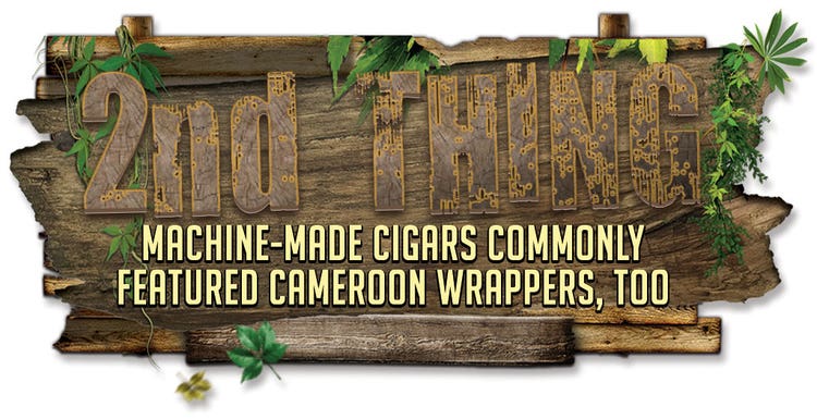 5-Things-2 about Cameroon wrapper cigars