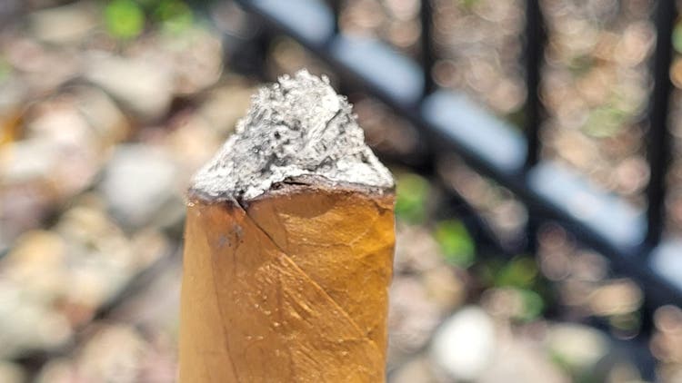 cigar advisor how to ash your cigar - cone shaped ash
