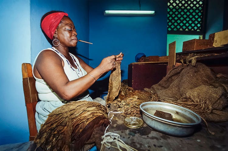 woman making a cigar - rolling cigars