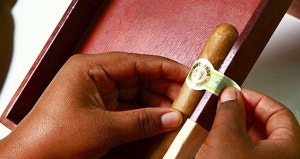 macanudo cafe cigar review