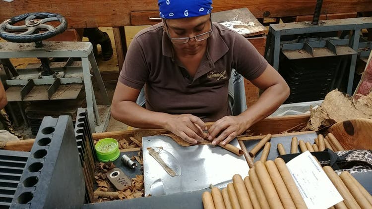 how cigars are made how cigars are rolled Davidoff