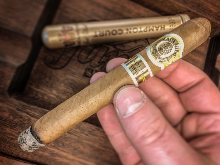 Macanudo cigars guide Macanudo Gold Label Hampton Court cigar review by Jared Gulick