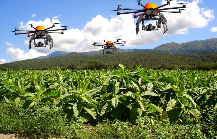 nick perdomo tobacco field drones