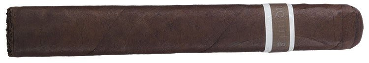 Cromagnon Aquitaine