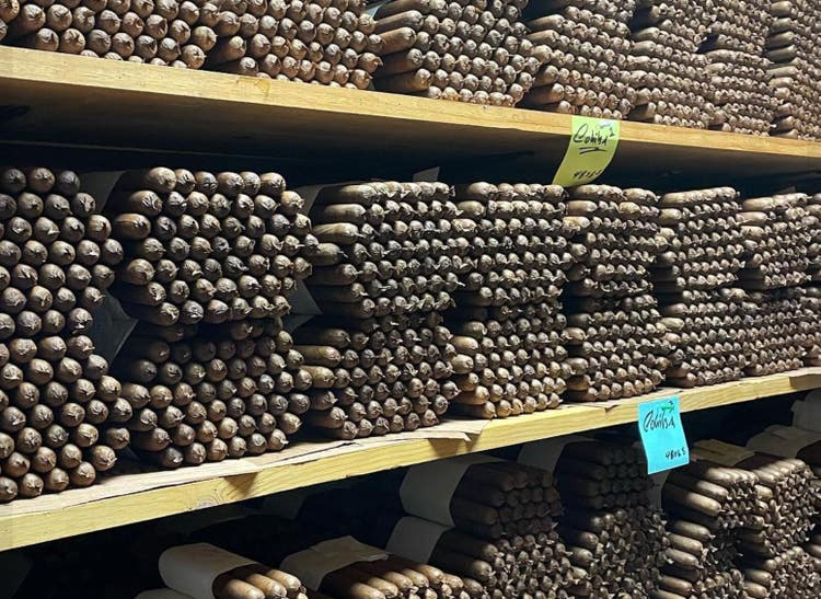 cigar advisor top 5 american cigars - el titan de bronze factory