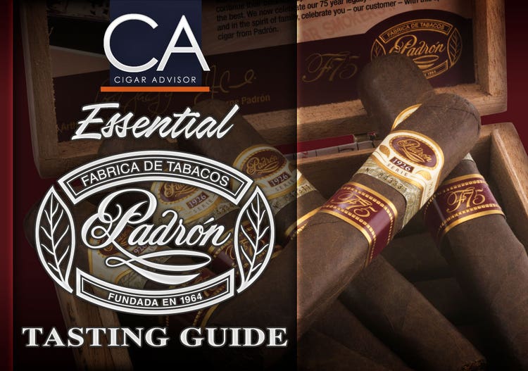 Cigar Buying Guides