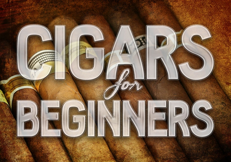Cigar Buying Guides