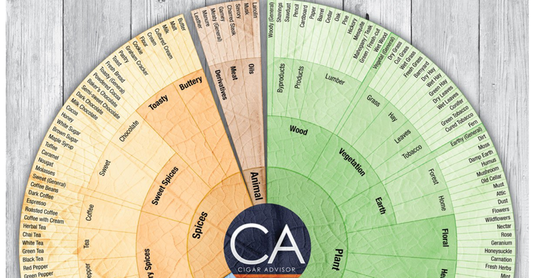 cigar flavor wheel---cigar flavor profiles