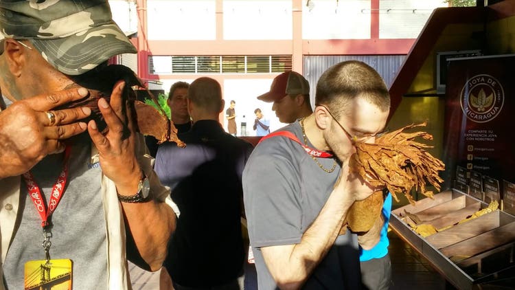smelling tobacco at a cigar factory aroma