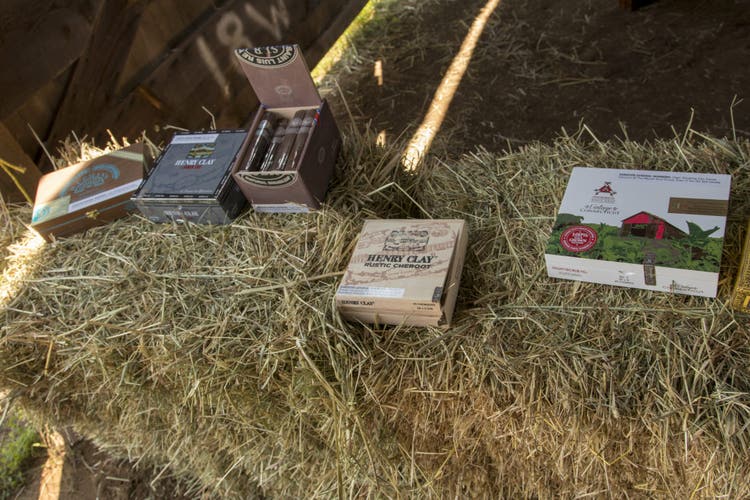 altadis maestro cigars in boxes