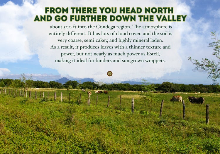 Tobacco Farming: Down the Valley