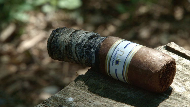 #nowsmoking Oliva Nub Cameroon cigar review by Gary Korb