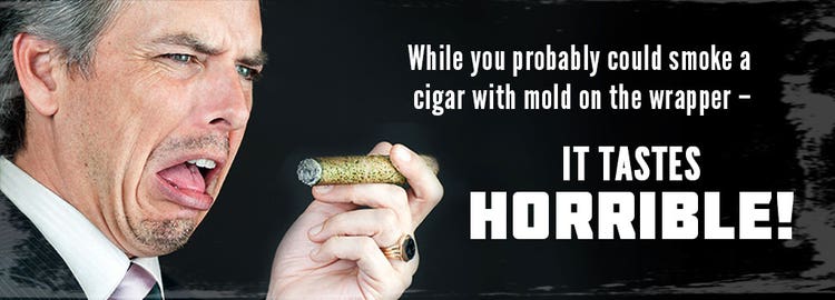 cigar mold removing mold from a humidor smoking a cigar with mold
