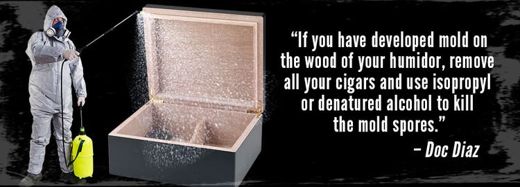 remove humidor mold tip