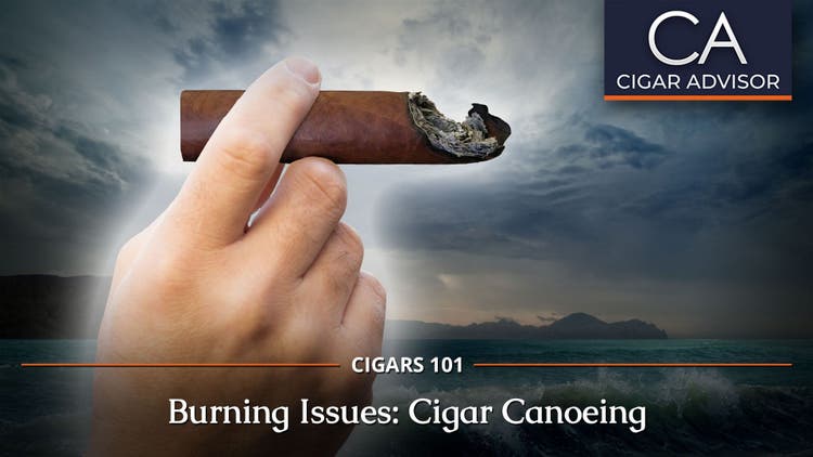 Cigars 101