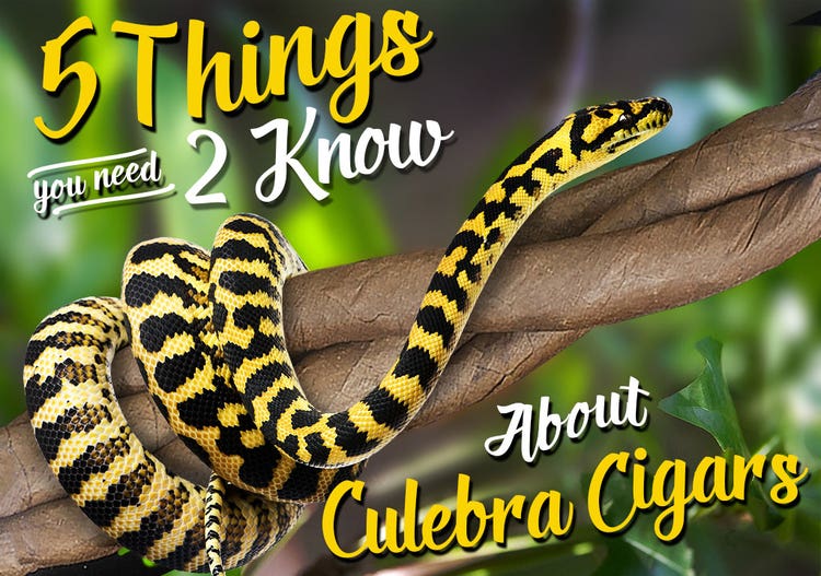 Cigars 101