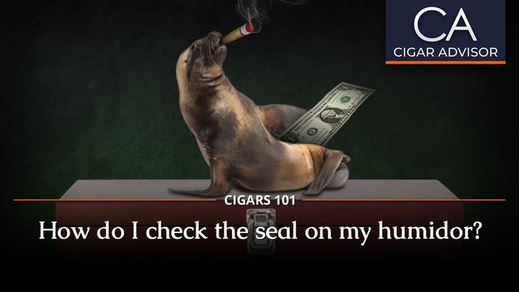 Cigars 101