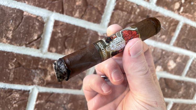 cigar advisor nowsmoking cigar review indomina by aj fernandez act 2