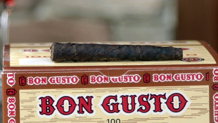 Parodi Bon Gusto cigar review single cigar and box
