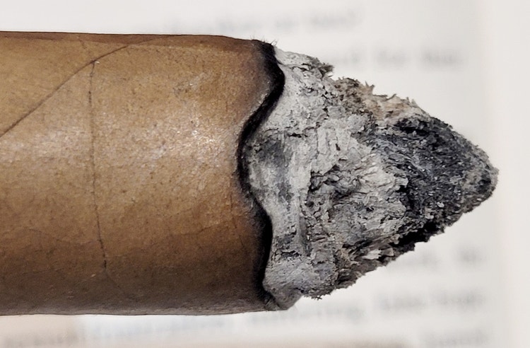 cigar advisor #nowsmoking cigar review - macanudo vintage 2010 ash close-up