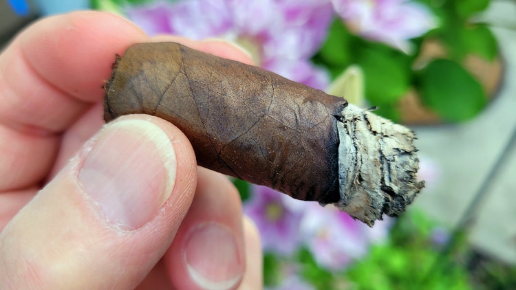 CAO Zocalo cigar review part 3