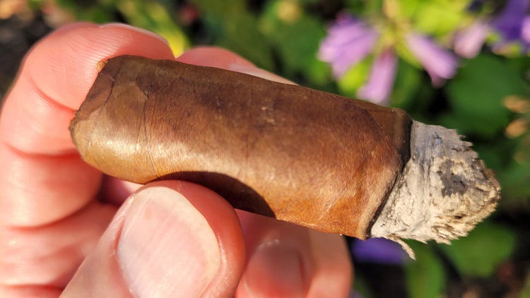 matilde renacer review cigar part 3