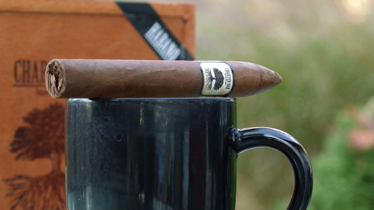 cup of coffee with Charter Oak Habano torpedo cigar and box