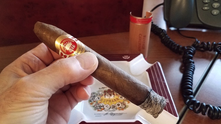 H. Upmann cigars guide H Upmann Vintage Cameroon cigar review GK