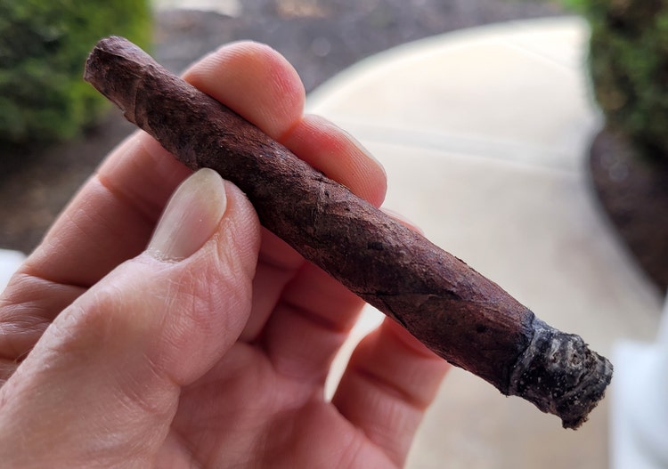 Parodi Bon Gusto cigar review Part 1