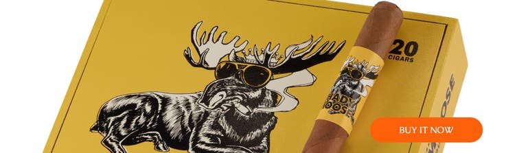 cigar advisor top new cigars 4-17-23 shady moose at famous smoke shop