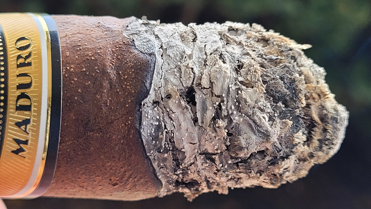 perdomo inmenso seventy cigar review ash closeup