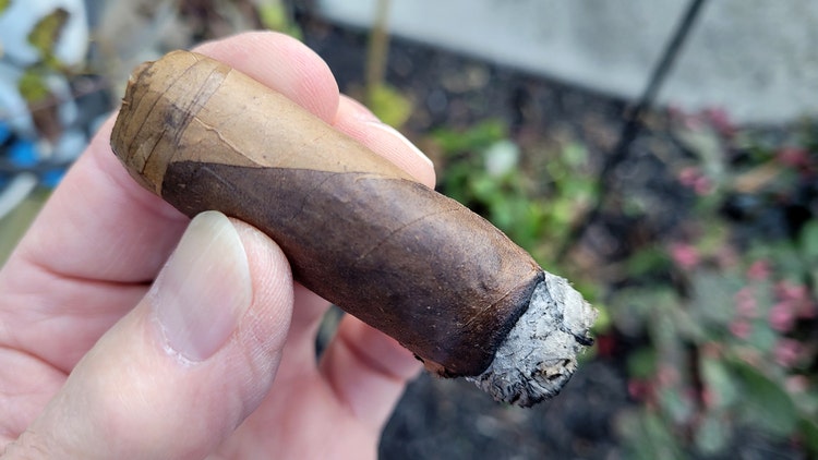 Aganorsa Leaf JFR Lunatic Hysteria Barber Pole cigar review part 3