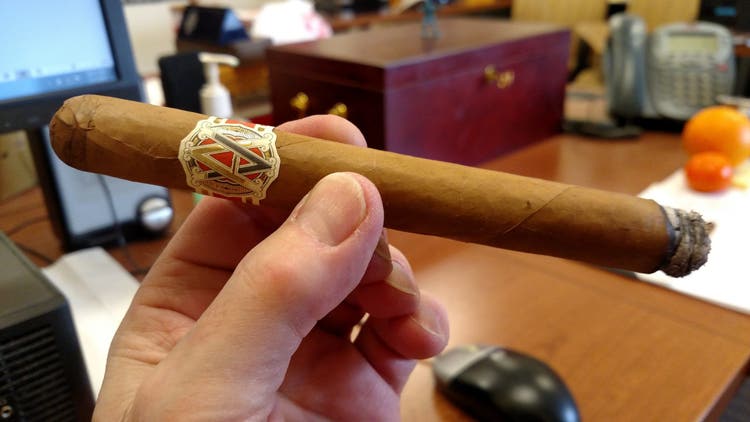 Avo cigars guide buy avo XO Maestoso cigar review