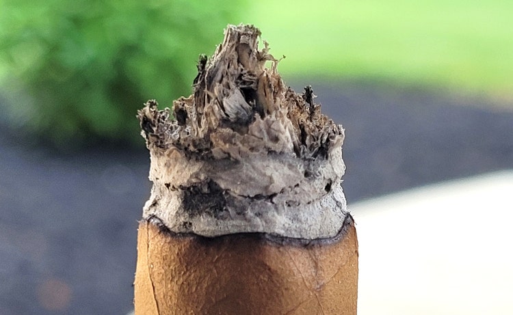 crown Ash on the Macanudo Inspirado Brazilian Shade cigar