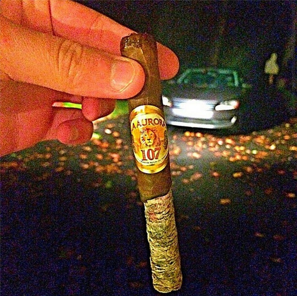 Long cigar ash La Aurora 107 cigars