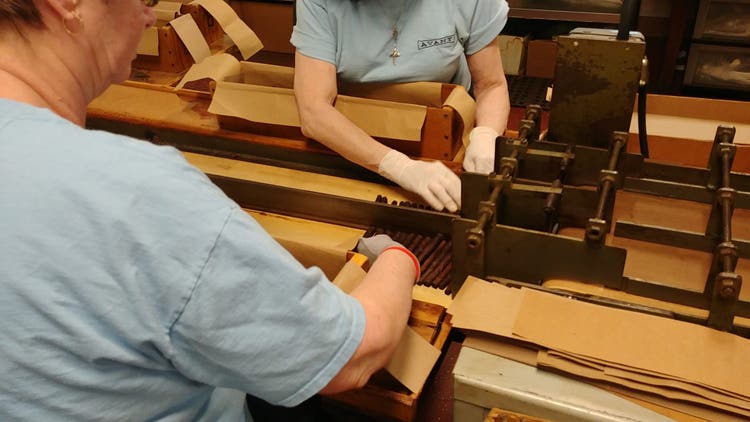 Making an American Cigar Tour of the Avanti Cigar Factory inspecting and cutting Avanti and parodi cigars