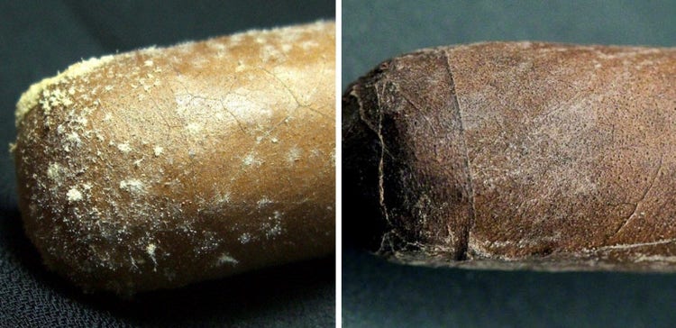 cigar advisor is it mold or plume - example of plume vs mold on a cigar
