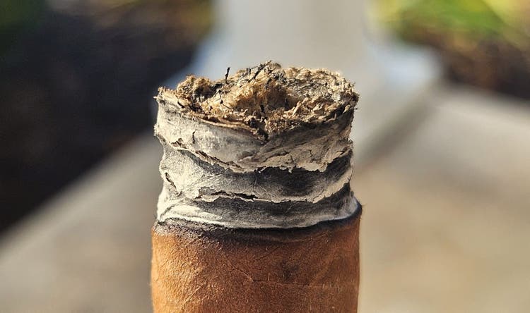 cigar advisor #nowsmoking cigar review punch golden era - ashes