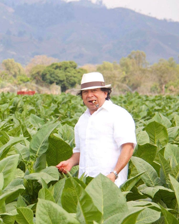 Gran Habano cigars guide Guillermo Rico in tobacco field