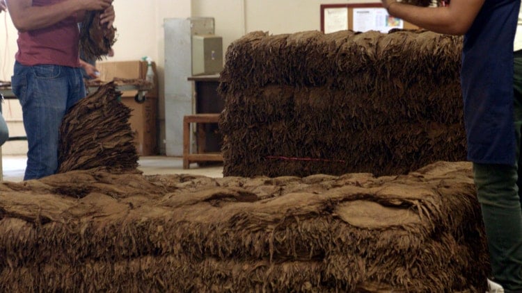 cigar advisor how long it takes to make a cigar - fermentation pilones piles of tobacco