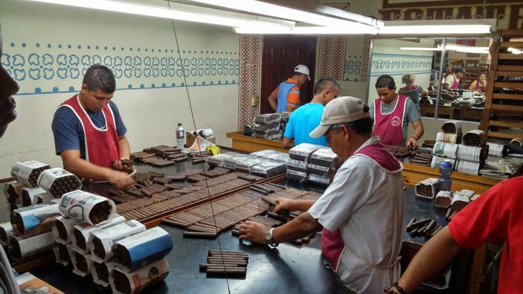 5 things you need to know about bundle cigars sorting cigars by color at Drew Estate