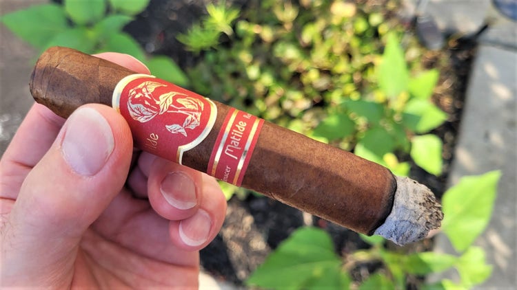 matilde renacer robusto cigar review Part 1