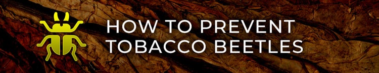 cigar advisor guide to tobacco (cigar) beetles - header 1: how to prevent tobacco beetles