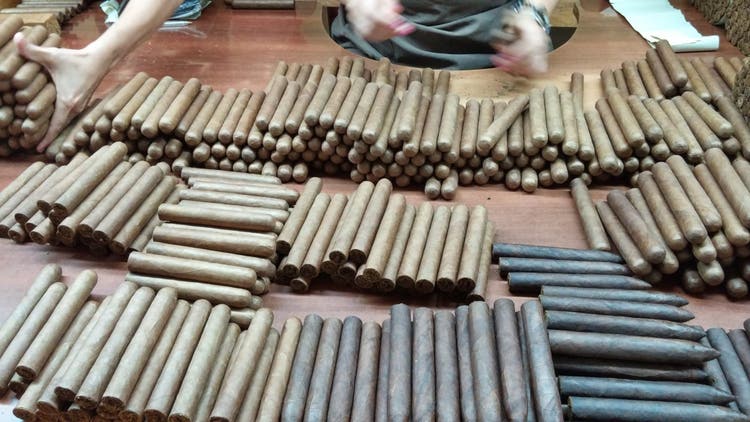 5 things you need to know about bundle cigars sorting cigars at JdN factory