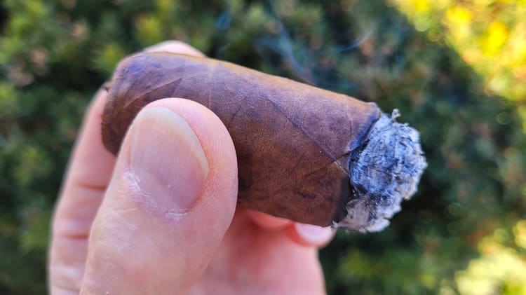 cigar advisor #nowsmoking cigar review of la gloria cubana serie r no. 8 (7" x 70) - act3