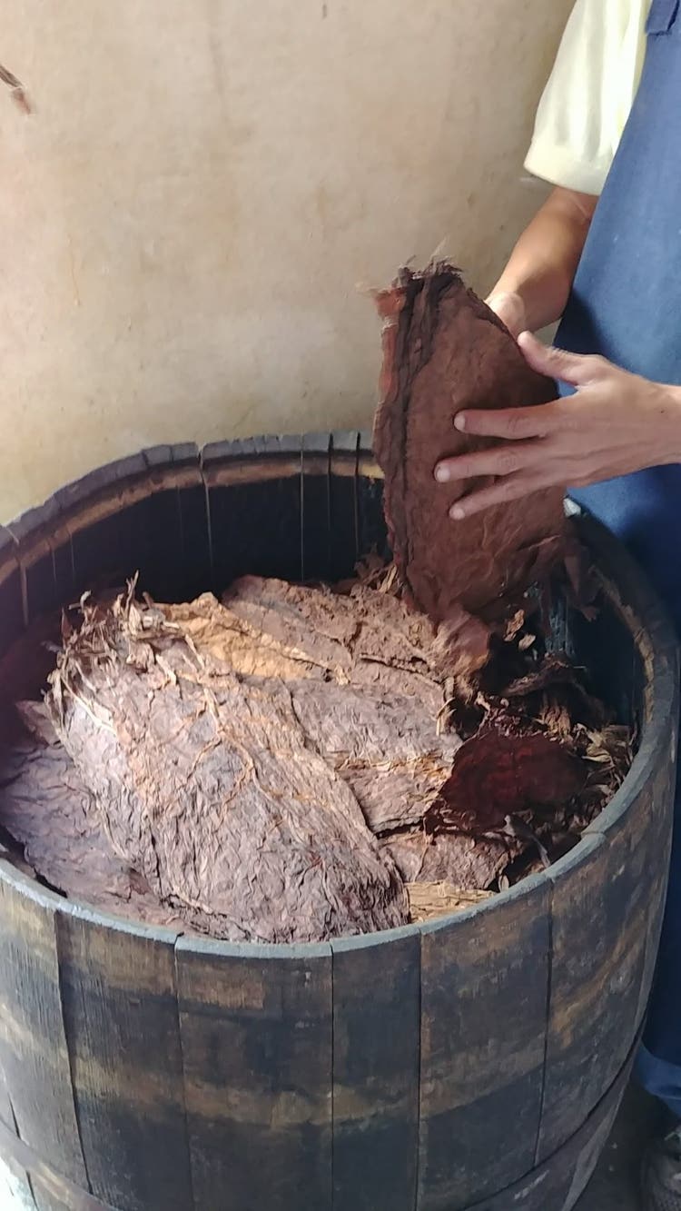 5 things about aging cigars - aging tobacco in whiskey barrels - Davidoff the Late Hour tobaccos