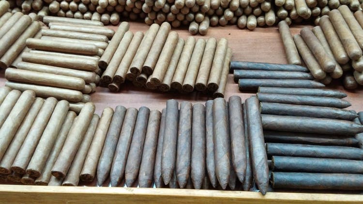 cigar advisor the difference between cigar strength and body - shades of cigar wrapper color