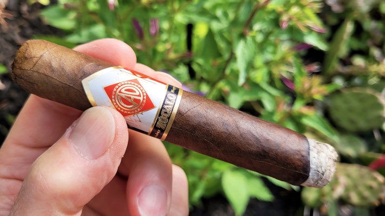 CAO Zocalo cigar review part 1